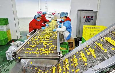 在鄉(xiāng)下辦廠有什么好項(xiàng)目(投資3萬(wàn)以內(nèi)的小生意)